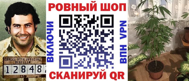 Купить закладку КОКАИН  Меф  Псилоцибиновые грибы  МАРИХУАНА  ГАШ  Каргат