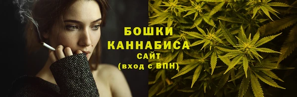 индика Дмитровск
