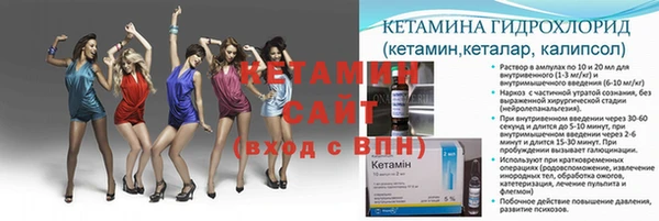 индика Дмитровск