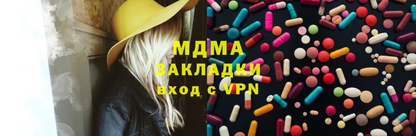 индика Дмитровск