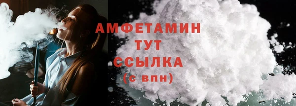 индика Дмитровск