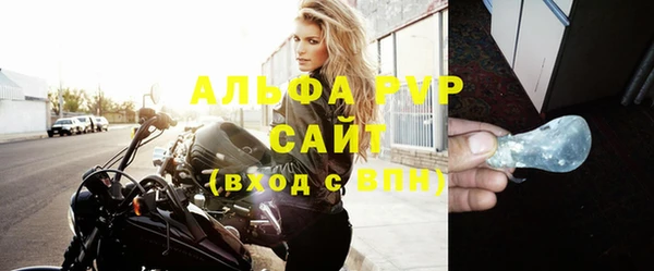 индика Дмитровск
