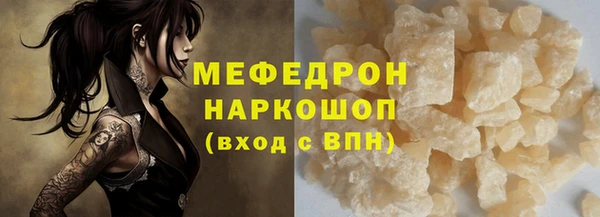 индика Дмитровск