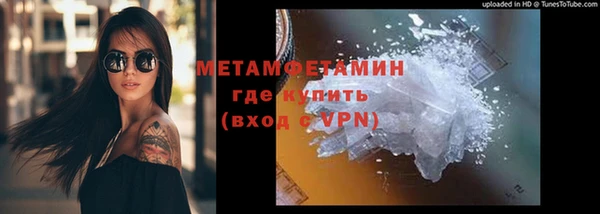 индика Дмитровск