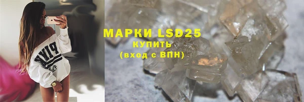 индика Дмитровск