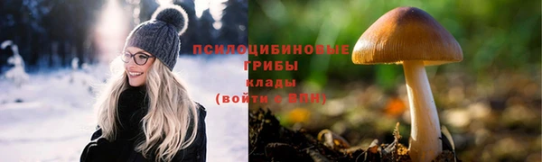 гашиш Дмитриев