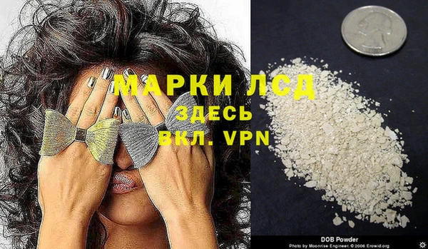 индика Дмитровск