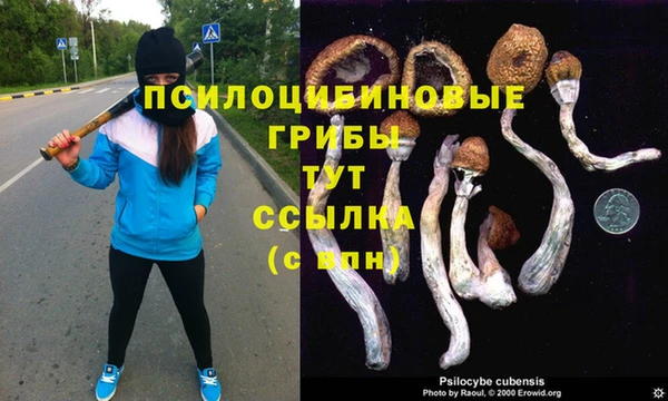 эйфоретик Дмитров