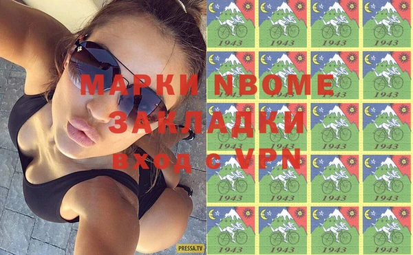 молекула духа Ельня