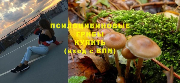 молекула духа Ельня