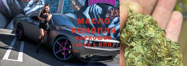 индика Дмитровск