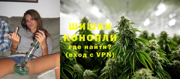 эйфоретик Дмитров