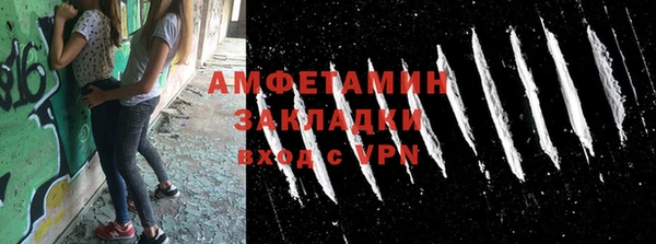 индика Дмитровск
