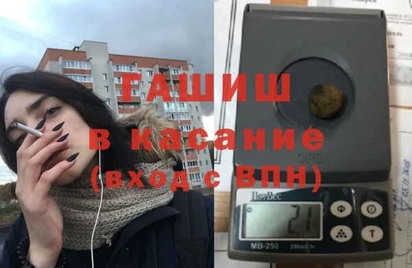 молекула духа Ельня