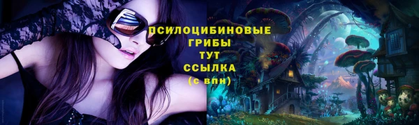 молекула духа Ельня