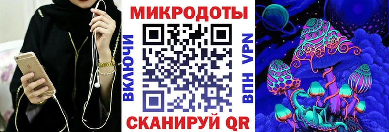 Галлюциногенные грибы Psilocybine cubensis Купить Каргат